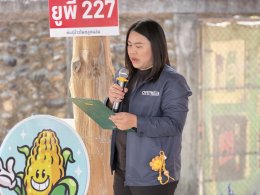 UP Hosts "Field Day 2026" in Lampang to Boost Farmers' Income with New Hybrid Corn