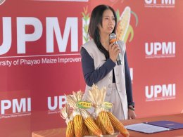UP Hosts "Field Day 2026" in Lampang to Boost Farmers' Income with New Hybrid Corn