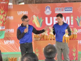UP Hosts "Field Day 2026" in Lampang to Boost Farmers' Income with New Hybrid Corn