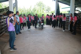 UP School of Agriculture Welcomes Study Visit from Chiang Muan Subdistrict Municipality Promoting Hands-on Learning and Knowledge Integration for Sustainable Local Development