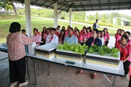 UP School of Agriculture Welcomes Study Visit from Chiang Muan Subdistrict Municipality Promoting Hands-on Learning and Knowledge Integration for Sustainable Local Development