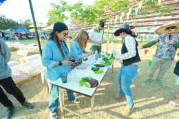 "Kad Kom & Mini Agricultural Fair" to Promote Learning and Preserve Lanna Culture