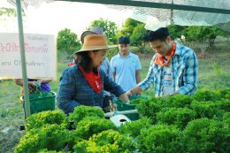 "Kad Kom & Mini Agricultural Fair" to Promote Learning and Preserve Lanna Culture