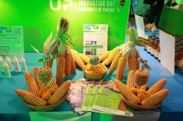 UP School of Agriculture Showcases Achievements at UP Innovation Day 2025: Innovation for Sustainability  Receiving Awards and Social Innovation Grant