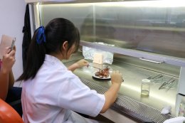 School of Agriculture, University of Phayao Hosts Science Skill Development Camp for Phayao Pittayakhom School Students
