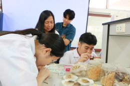 School of Agriculture, University of Phayao Hosts Science Skill Development Camp for Phayao Pittayakhom School Students