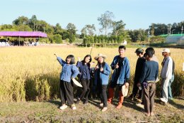 UP School of Agriculture and Natural Resources Joins Lanna Harvesting Culture Activity