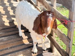 UP School of Agriculture Welcomes CCT District 15 for "Aging: Never Stop Dreaming" Project