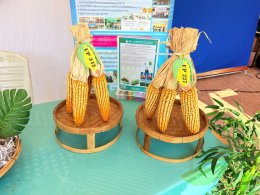 UP School of Agriculture Joins "TPQI Fair 2026" to Elevate Local Occupational Standards