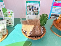 UP School of Agriculture Joins "TPQI Fair 2026" to Elevate Local Occupational Standards