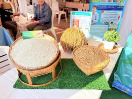 UP School of Agriculture Joins "TPQI Fair 2026" to Elevate Local Occupational Standards