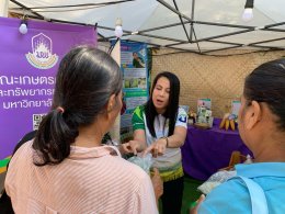 Participates in the "Agriculture and Tourism Festival: The Beautiful Flower Street by Kwan Phayao" Exhibition by School of Agriculture and Natural Resources