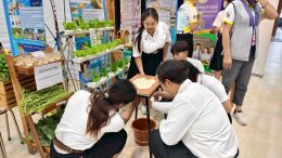 School of Agriculture, University of Phayao Wins Popular Vote Award and Receives Certificate for Student Mental Health Assessment in UP Identity Festival #5: U-Volunteer for Sustainable Development
