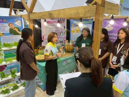 School of Agriculture, University of Phayao Wins Popular Vote Award and Receives Certificate for Student Mental Health Assessment in UP Identity Festival #5: U-Volunteer for Sustainable Development