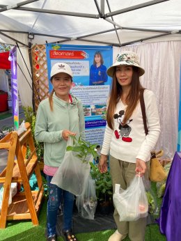 Participates in the "Agriculture and Tourism Festival: The Beautiful Flower Street by Kwan Phayao" Exhibition by School of Agriculture and Natural Resources