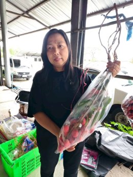 UP Agriculture Supports Local Farmers at Mae Jai Lychee Promotion Event
