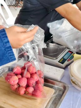 UP Agriculture Supports Local Farmers at Mae Jai Lychee Promotion Event