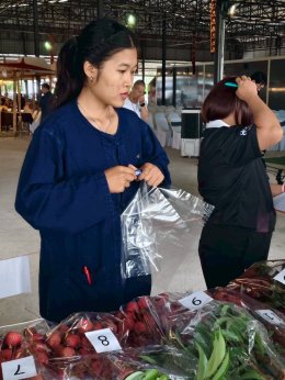 UP Agriculture Supports Local Farmers at Mae Jai Lychee Promotion Event