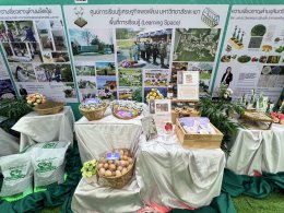 School of Agriculture and Natural Resources, University of Phayao, Participates in the "National Agriculture Day 2024" Exhibition at Mae Hia Agricultural Innovation Center, Chiang Mai