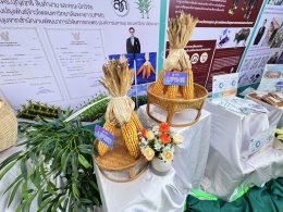 School of Agriculture and Natural Resources, University of Phayao, Participates in the "National Agriculture Day 2024" Exhibition at Mae Hia Agricultural Innovation Center, Chiang Mai