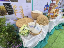 School of Agriculture and Natural Resources, University of Phayao, Participates in the "National Agriculture Day 2024" Exhibition at Mae Hia Agricultural Innovation Center, Chiang Mai