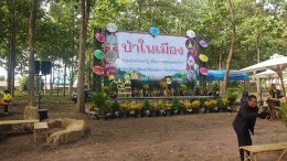  คณะเกษตรศาสตร์และทรัพยากรธรรมชาติ มหาวิทยาลัยพะเยา เข้าร่วมโครงการป่าในเมือง " สวนป่าประชารัฐ เพื่อความสุขของคนไทย "