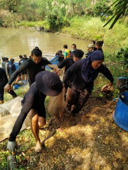 นิสิตการประมง คณะเกษตรศาสตร์ฯ ดำเนินกิจกรรมขนย้ายปลาบึก (Mekong Giant Catfish) และปลาเทพา (Chao Phraya Giant Catfish)