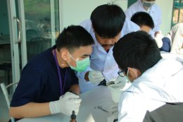  คณะเกษตรศาสตร์และทรัพยากรธรรมชาติ ม.พะเยา ต้อนรับคณะนักเรียนค่ายวิทยาศาสตร์สานสัมพันธ์ฉันท์ วมว. ครั้งที่ 12 ร่วมกิจกรรมทัศนศึกษาแหล่งเรียนรู้ ณ ศูนย์ศึกษาเศรษฐกิจพอเพียงการเกษตรฯ มหาวิทยาลัยพะเยา