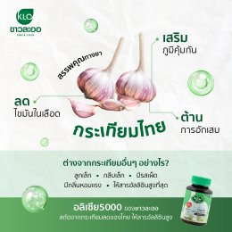 Medicinal properties of Thai garlic