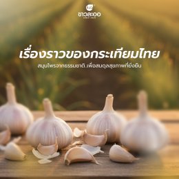 ข้อเข่า: สัญญาณที่ต้องใส่ใจ เพื่อการเคลื่อนไหวที่ไม่สะดุด
