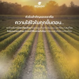 ข้อเข่า: สัญญาณที่ต้องใส่ใจ เพื่อการเคลื่อนไหวที่ไม่สะดุด