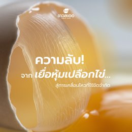 ข้อเข่า: สัญญาณที่ต้องใส่ใจ เพื่อการเคลื่อนไหวที่ไม่สะดุด