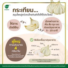 Garlic Herbs for Thai Kitchen How to eat to benefit