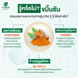 รู้หรือไม่? ขมิ้นชันช่วยบรรเทาผลกระทบจากฝุ่น PM 2.5 ได้อย่างไร?