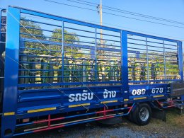 รับมือภาษีที่ดิน 69 พลิกที่รกร้าง ด้วยแก้วมังกรในกระถาง!