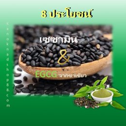 8ประโยชน์เซซามิน EGCG 