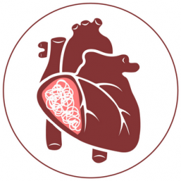 โรคพยาธิหนอนหัวใจ-วิธีป้องกัน/รักษา