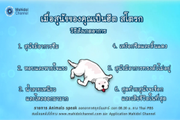 โรคลมแดด หรือ Heat Stroke