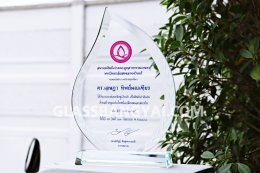 ถ้วยรางวัลแก้วคริสตัล,โล่รางวัลคริสตัล,ถ้วยรางวัคริสตัล,โล่รางวัล