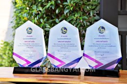 ถ้วยรางวัลแก้วคริสตัล,โล่รางวัลคริสตัล,ถ้วยรางวัคริสตัล,โล่รางวัล