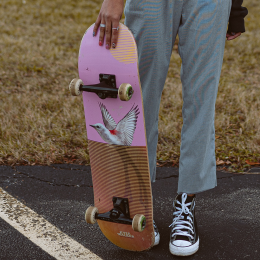 The Skatepark Solution