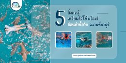 5️ สิ่งควรรู้ เตรียมตัวให้พร้อม! ก่อนดำน้ำกับฉลามที่มาฟูชิ 