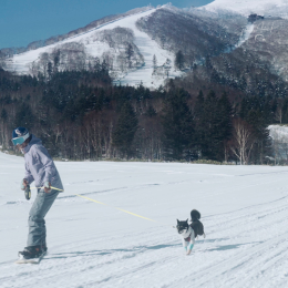 หิมะที่นุ่มที่สุดในฮอกไกโด ที่ไม่ใช่นิเซโกะ !!!