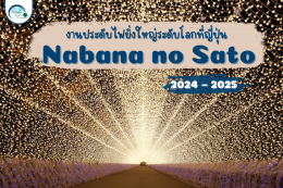 งานประดับไฟยิ่งใหญ่ระดับโลกที่ญี่ปุ่น　Nabana No Sato  2024-2025