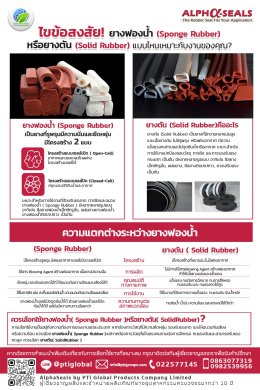 ยางฟองน้ำ (Sponge Rubber) หรือ ยางตัน (Solid Rubber) เหมาะกับคุณ?