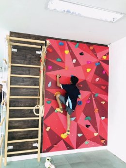 Gym Climbing Wall