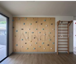Gym Climbing Wall