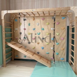 Gym Climbing Wall