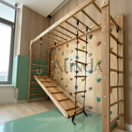 Gym Climbing Wall