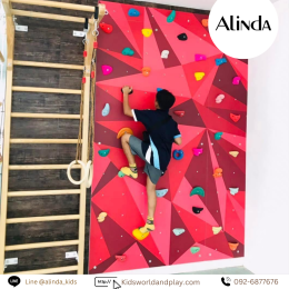 Gym Climbing Wall